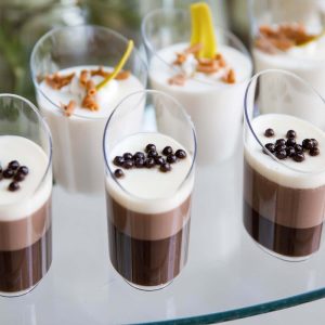 24-Pack Plastic Appetizer Cups 3oz Clear Diminutive Flasket - Disposable Dessert Cups for Parties - Pack of 24 Cups